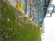 Banatski dvor slika04